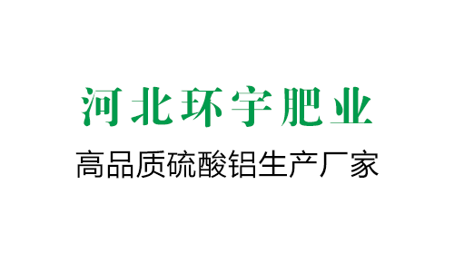 NMPA Issued the Guidelines for Conditional Approval for Mark